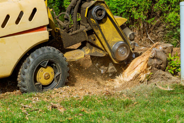 Best Tree and Shrub Care  in Gering, NE